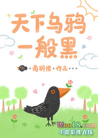 天下乌鸦一般黑什么生肖